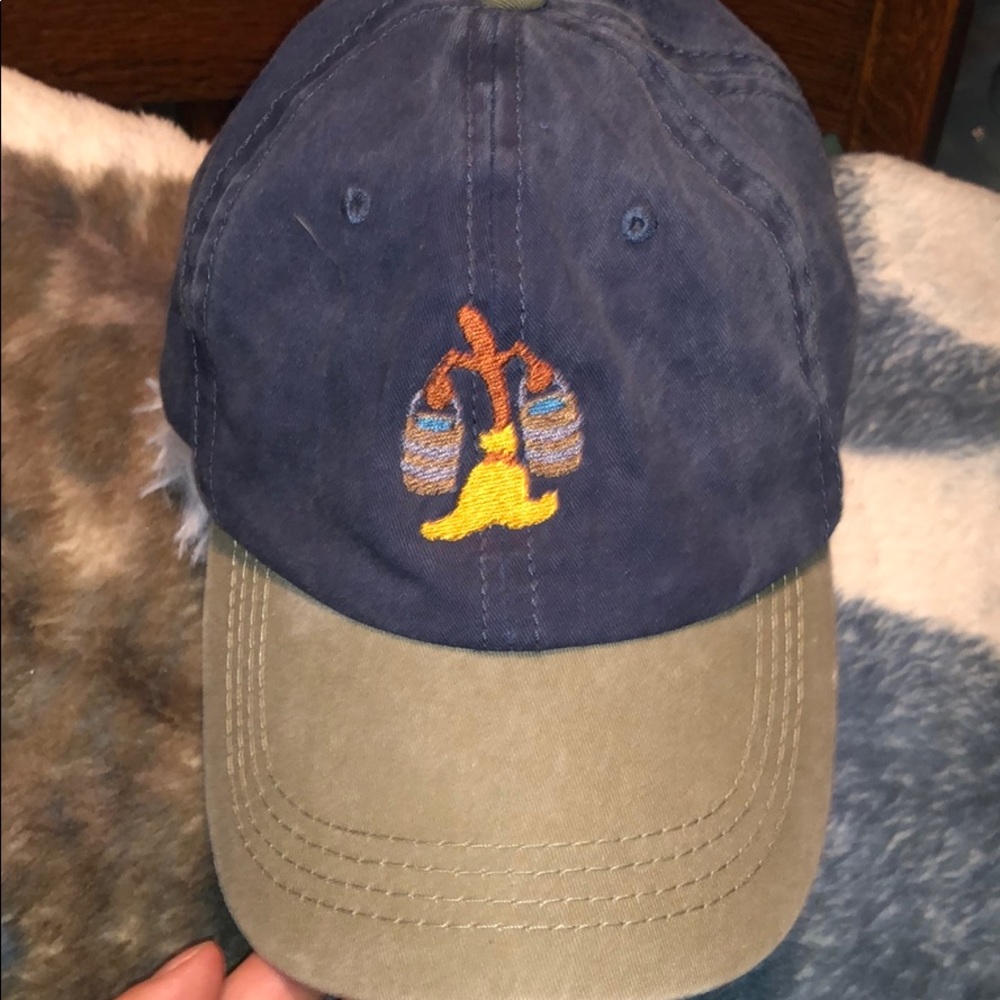 Disney broom dad hat